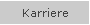 Karriere